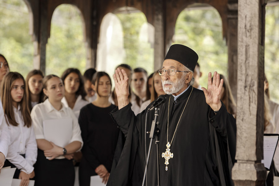 Dani Patrijarha Pavla